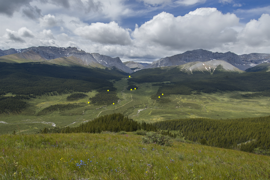 Willmore Wilderness Park, Rocky Mountains, Alberta, Canada